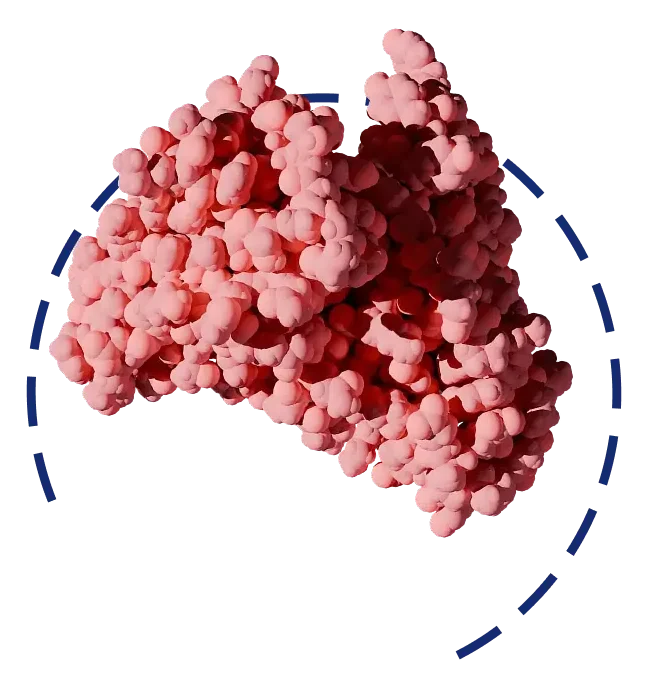 c1_lead_enhancer.webp