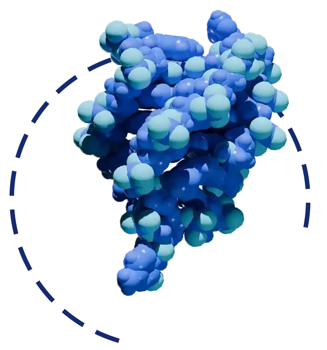 c1_lead_ligands.webp